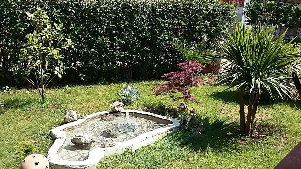 Apartment Anita Fažana Εξωτερικό φωτογραφία